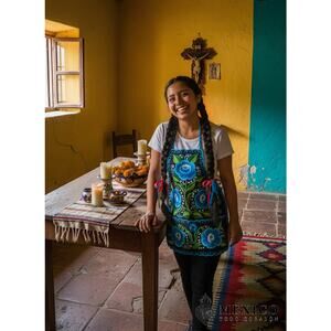 Mexican womas embroidered apron mothers day gift